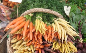 Affordable Nutrition